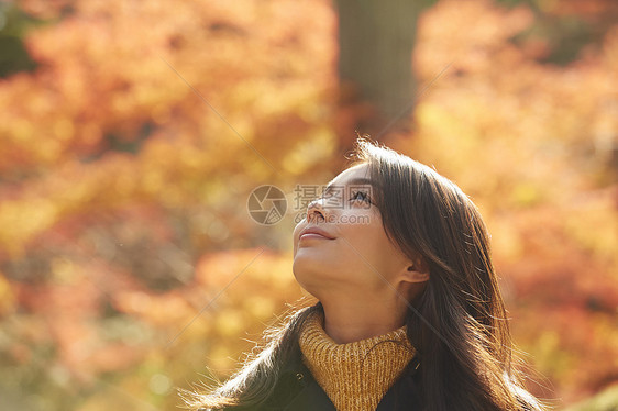 女人在枫叶林观光图片