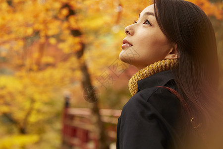 女人在枫叶林观光图片