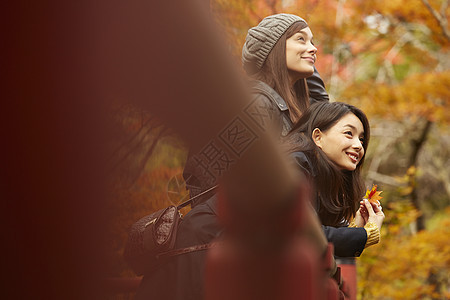 女人和外国友人一起观光欣赏枫叶图片