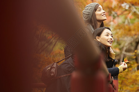 女人和外国友人一起观光欣赏枫叶图片