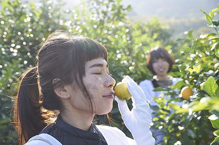 年轻女工人享受着柠檬的味道图片