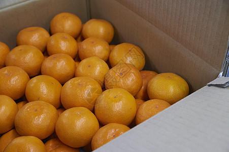箱子里新鲜的橘子图片