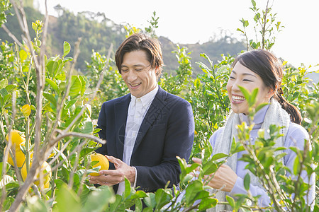 来柚子种植园观光的快乐夫妇图片