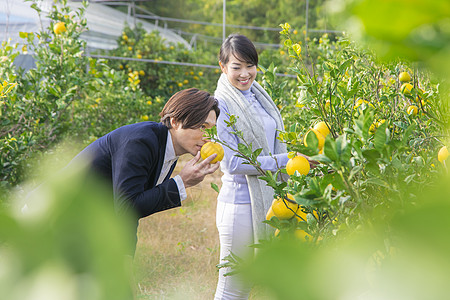 来柚子种植园观光的快乐夫妇园图片