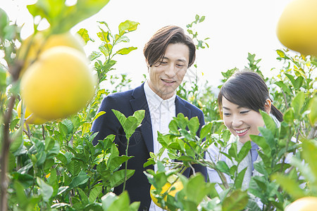 四国岛三十几岁来柚子种植园观光的快乐夫妇图片