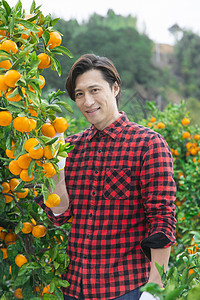 橘子园的果农形象图片
