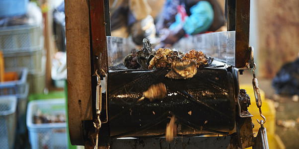 牡蛎养殖加工厂的机器图片