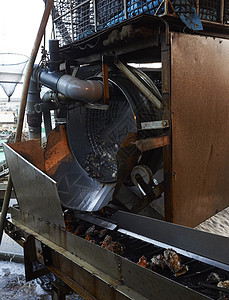 牡蛎养殖加工厂工作的机器图片