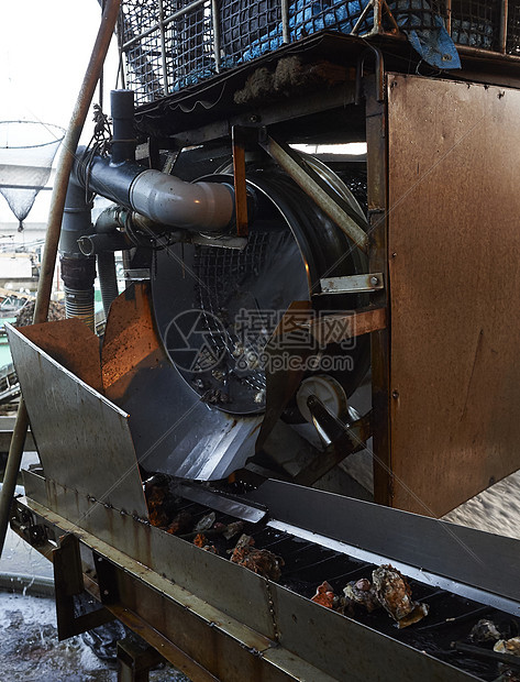 牡蛎养殖加工厂工作的机器图片