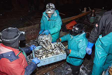 夜晚搬运新鲜鱼类的渔民们图片