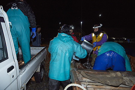 夜晚忙碌工作的渔民们图片