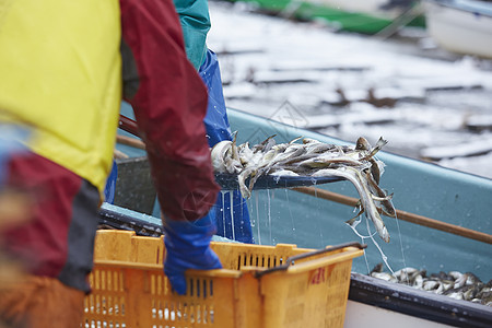 作品早日本渔民正在运输海鲜图片