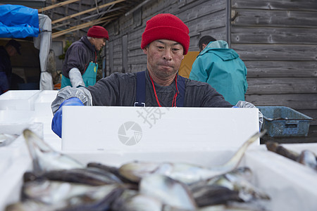 男港口生活资料在鱼市场工作的人图片