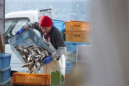 在鱼市场工作的渔民图片