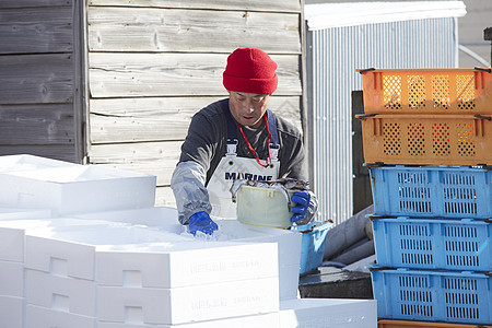 孤独的人物日本在鱼市场工作的人图片