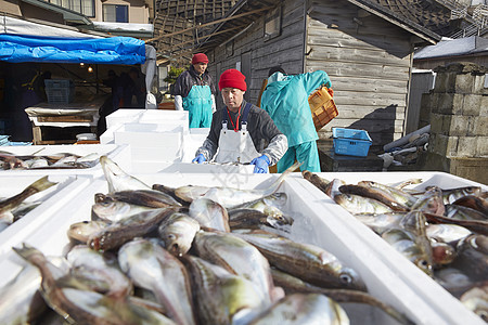 职业商业港口日本渔业形象图片