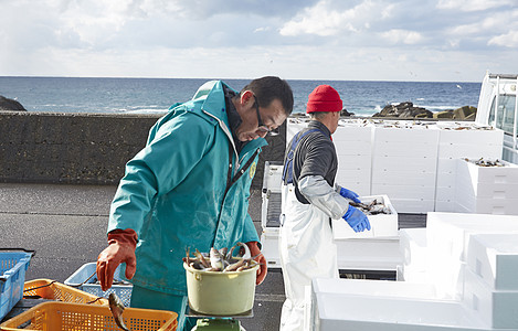 盒子清晨职业在鱼市场工作的人图片