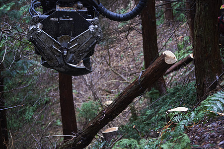拖拉机鸟取县日本西部林业图片