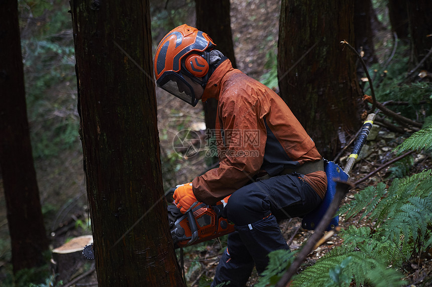 伐木工人砍树高清图片下载-正版图片502073725-摄图网