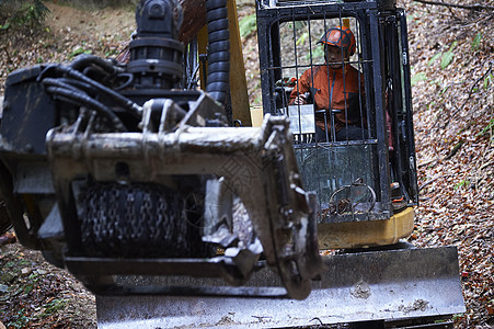 操作机器砍伐树木的工人图片