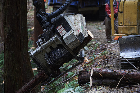 砍伐树木的机器图片