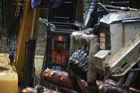 驾驶操作挖掘机搬运木材的工人图片
