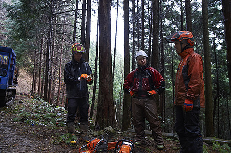 采伐森林林业工人图片
