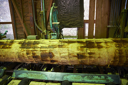 处理木材的伐木工场图片