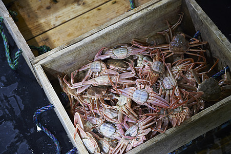 新鲜打捞的螃蟹图片