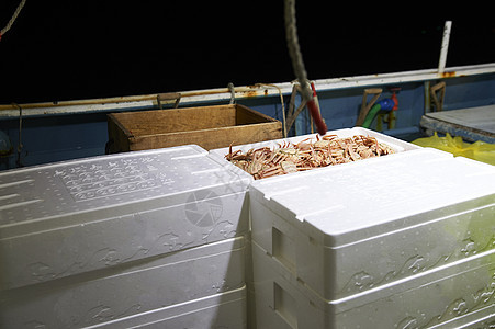 泡沫箱里运输的螃蟹图片