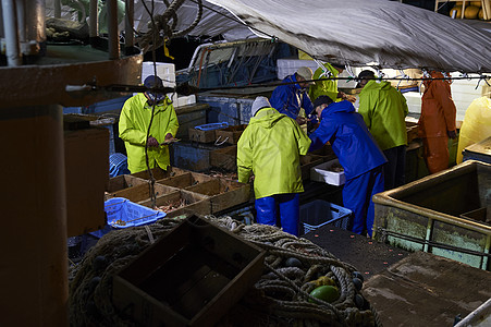 螃蟹船整理分类螃蟹的渔民们背景