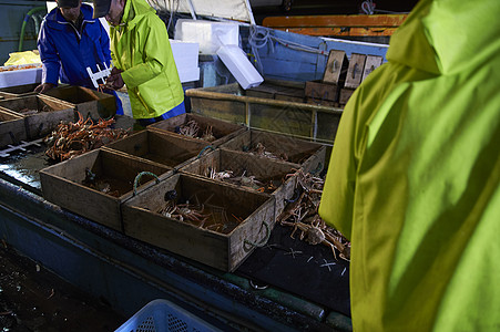 螃蟹船拿着测量工具检查螃蟹的渔民们背景