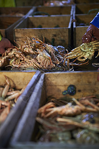 木箱里满满的新鲜螃蟹图片