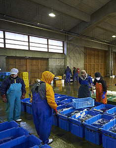海鲜批发市场的渔民图片