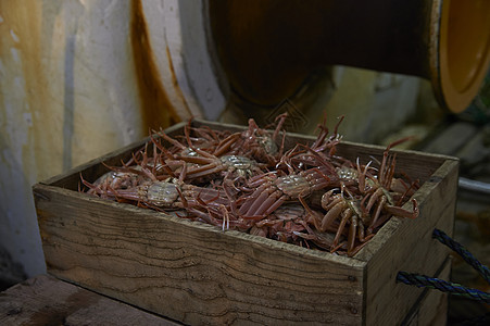 木箱里满满的大螃蟹图片