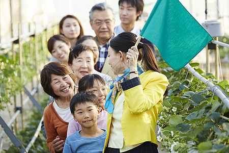 跟随导游参观草莓园的游客图片