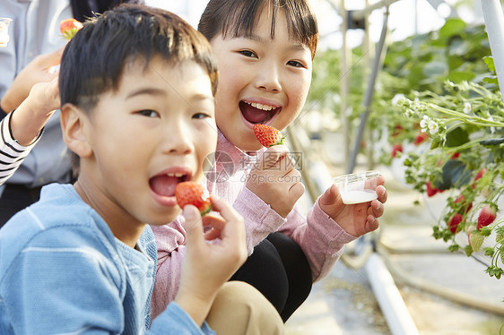 拿着草莓吃的小孩图片