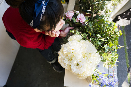 鲜花美女图片