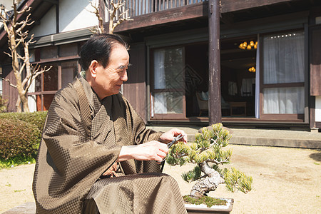 日式服装退休长者照顾丰富的盆景图片