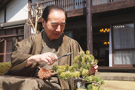 日式服装退休长者照顾丰富的盆景图片