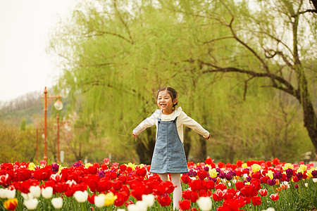 花圃里玩耍的小女孩图片