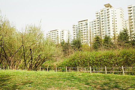 户外植物公园图片