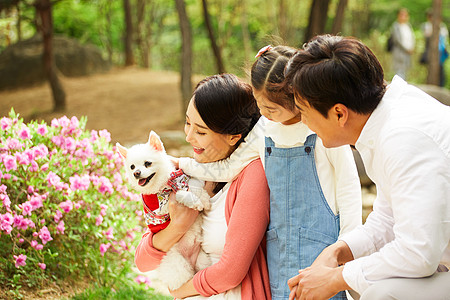 春日抱着狗狗出游的一家人高清图片
