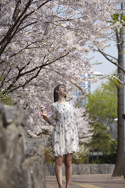 樱花树下的年轻女性图片