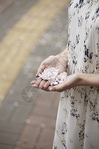 手捧花瓣的年轻女子图片