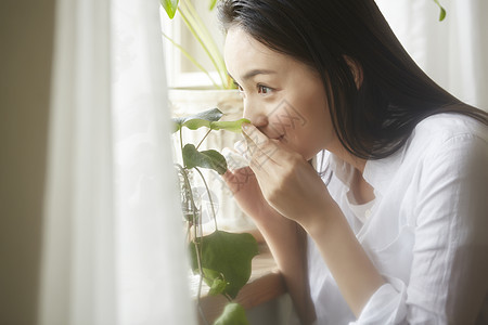 闻着窗边植物枝叶的女性图片