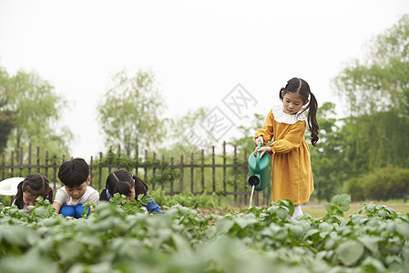 户外菜园里农作的孩子们图片