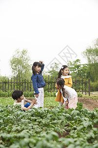 农田里学习耕种的孩子们图片