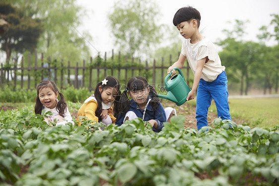 户外田地学习耕种的孩子们图片