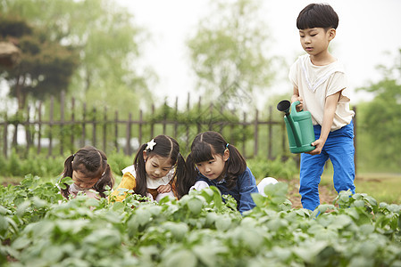 田地里耕种的孩子们图片